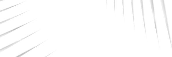 Abstract geometric white and gray color background with straight lines illustration vector
