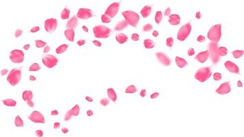 Valentine's day card with pink rose petals elements in dynamic composition. aroma spa vector