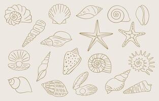 seashell outline icon with boho style vector