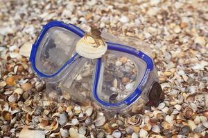 Diving mask and a small crab on the shore covered with seashells. Seaside holidays photo