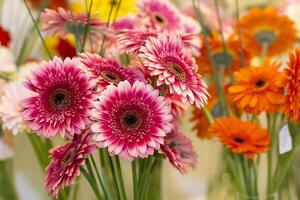 Beautiful bouquet of gerberas on the counter photo