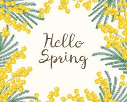 A frame with a yellow mimosa. A spring wreath of the brightest yellow flowers. Hello, spring. vector