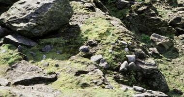 Exploring rocky terrain covered with moss in a serene outdoor setting video