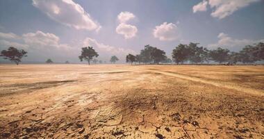 Dusty landscape under a bright sky with sparse vegetation during midday video