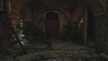 Abandoned room with bricks and overgrown plants in dim light video