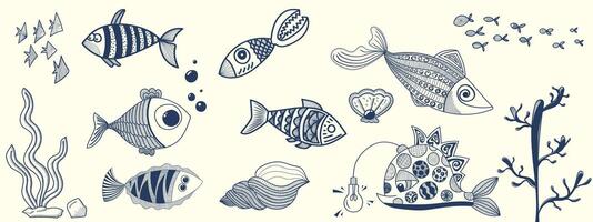 hand draw different fish in white chalk vector
