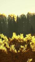 Wonderful view of the mountains that glow under the sunlight video