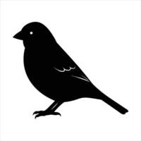 Common Sparrow silhouette vector