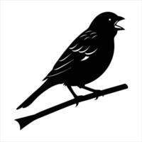 A black and white picture of a bird on a branch vector
