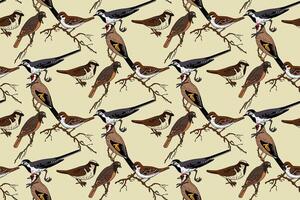 Botanical abstract seamless pattern with garden birds illustration. Colorful repeating cartoon pattern birds in beige color background. Graphic design for Fashion Cover Textile Birthday Print vector