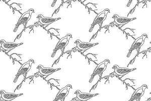 Line art seamless pattern with garden birds illustration. Hand drawn outline repeating sparrow birds pattern on white background. Graphic design for Cover Coloring Page Textile Fashion Print Card vector