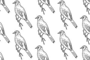 Line art seamless pattern with garden birds illustration. Hand drawn outline repeating carduelis birds pattern on white background. Graphic design for Cover Coloring Page Textile Fashion Print vector