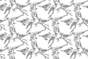 Line art seamless pattern with garden birds illustration. Hand drawn outline repeating pattern different birds background. Graphic design for Cover Coloring Page Textile Fashion Print Card vector