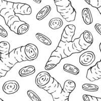 Seamless pattern with ginger. Hand drawn illustration in outline style vector