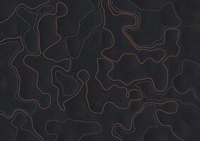 Abstract background with a detailed topography map design vector