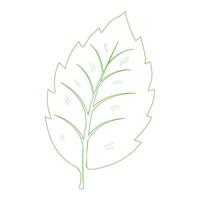 Composition of paper style olympics shapes, Green circular laurel leaves use for winner trophy Set of green laurel wreath logo template icon illustration design vector