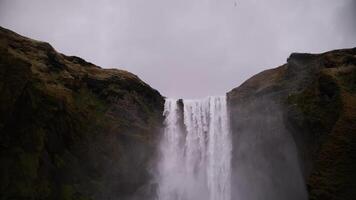 Skogafoss Waterfall Flowing in Iceland video