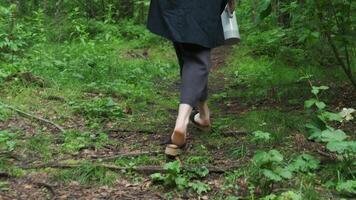 Walking in Nature while using Outdoor Gear for various enjoyable activities and adventures. Media video