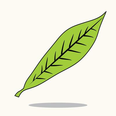 Green Minimalistic Leaf Illustration with Clean Design