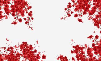 Frame of Red cherry blossom background pattern, spring time red sakura blossom. vector