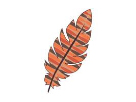 Single Feather Illustration with Striped Pattern Isolated on White Background. Concept of Nature Art, Boho Decor, Bird Plumage, Graphic Design Element, Creative Ornamentation vector