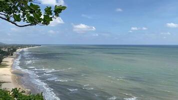 A breathtaking coastal view from a cliff, overlooking the sea with gentle waves, a sandy shoreline, and lush green tree in the foreground. video