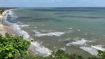 A breathtaking coastal view from a cliff, overlooking the sea with gentle waves, a sandy shoreline, and lush green plants in the foreground. video