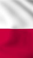 Vertical, portrait waving national flag of Poland. Smooth animation with highly detailed, realistic animated background for social media, screens smartphone. Cloth motion, official colors. video