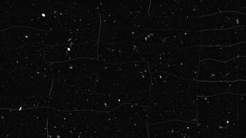Free Random old dust and scratches for use as videos overlay to add texture, film damage or grunge style. Perfect for creating an old, vintage projector style or nostalgic memory sequence. Loop-ready
