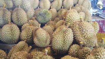 Durian is available in the market in large quantities video