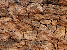 un cerca arriba de un Roca pared con muchos diferente tipos de rocas video