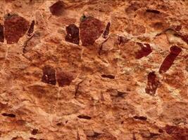 A close up of a rock with many different types of markings video