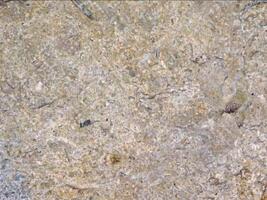 A close up of a stone surface with a few different colors video