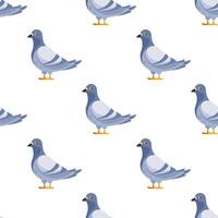 Seamless pattern of pigeons standing on white background vector