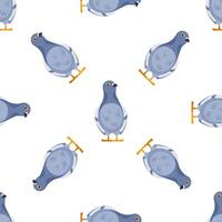 Seamless pattern of pigeons standing and posing on white background vector