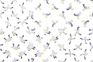 Seamless pattern with seagulls flying and walking on white background vector