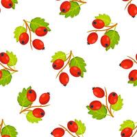 Seamless pattern with branches of ripe hawthorn berries and green leaves on white background vector