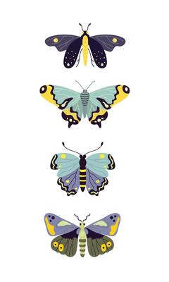 Set of butterflies in blue tones, flat style illustration on white background