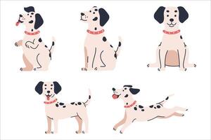 Collection of playful Dalmatian dog cartoon illustration in various poses vector