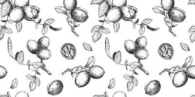 Seamless pattern of walnut branches. background with kernels, leaves and nut skin. Engraving style illustration. Design for packaging, wallpaper, kitchen textile. Hand drawn ink sketch. vector