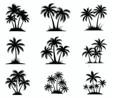Palm Trees Set Isolated On White Background. Palm Silhouettes. vector