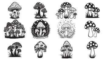 Mushroom Designs with Fungi, Forest Themes, and Whimsical Details vector
