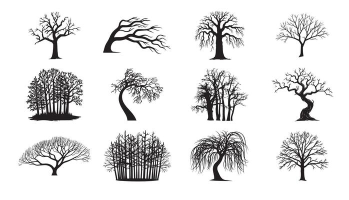 Artistic Tree Designs with Unique Branching and Silhouettes