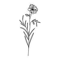 Delicate Wildflower Line Art for Botanical and Nature-Themed Designs vector