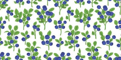 Blueberry Branch Seamless Pattern in Flat Food Style, Repeat Background vector