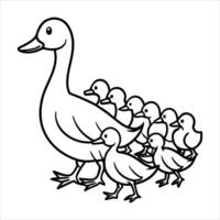 Mother Duck And Duckling vector