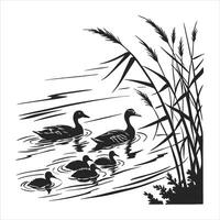 group of ducks swimming in a pond vector