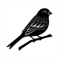 Finch Sittting On A Branch vector