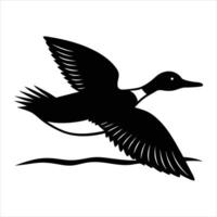 of wild duck isolated on white background. vector