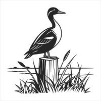 Silhouette of Duck filled with vector